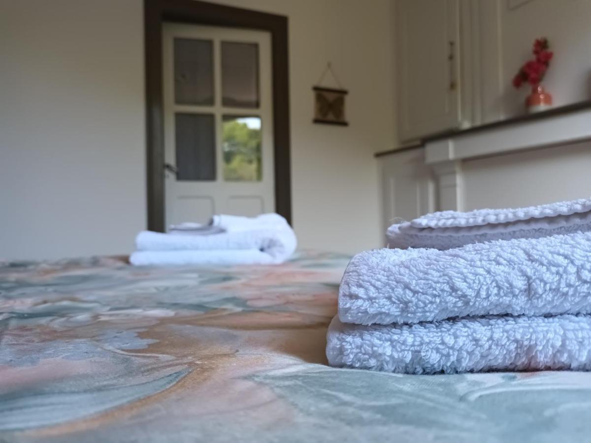 Chambres D'Hotes Le Veilleur De Noblat Saint-Leonard-de-Noblat Luaran gambar